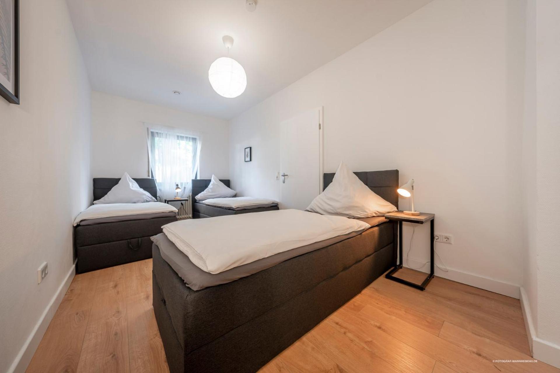 Xxl Design-Appartement Highdesign 10 Pers Zentral Naehe Heidelberg Und Mannheim Вайнхайм Экстерьер фото