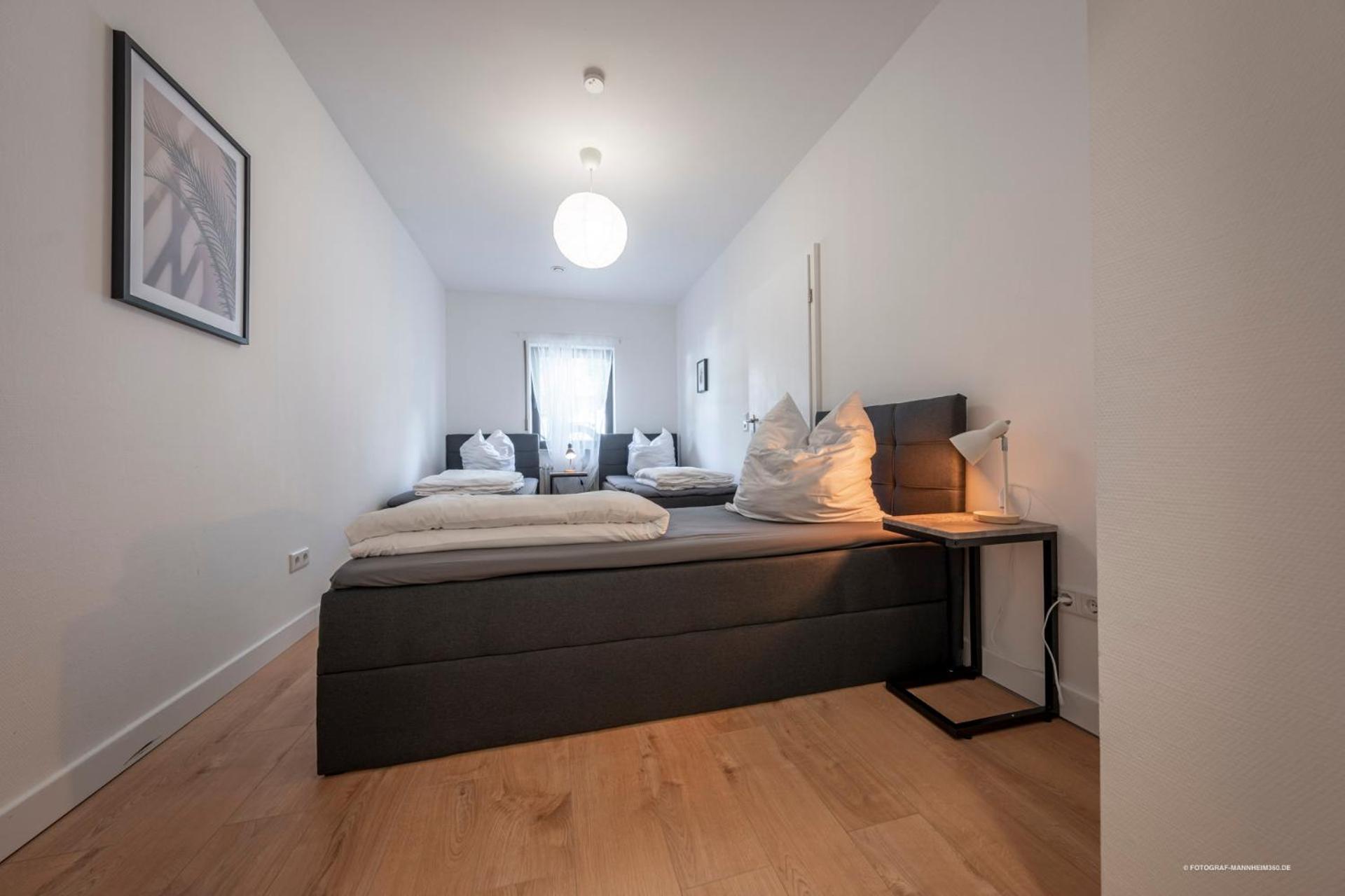 Xxl Design-Appartement Highdesign 10 Pers Zentral Naehe Heidelberg Und Mannheim Вайнхайм Экстерьер фото