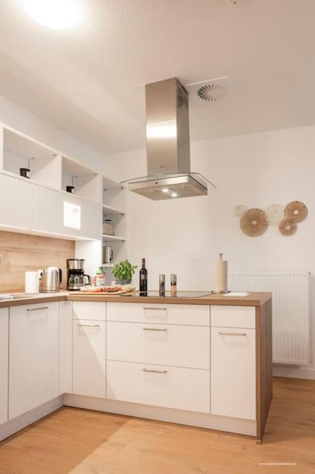 Xxl Design-Appartement Highdesign 10 Pers Zentral Naehe Heidelberg Und Mannheim Вайнхайм Экстерьер фото